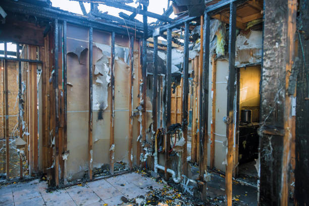 Professional Fire Damage Removal technician working in Lutz, FL