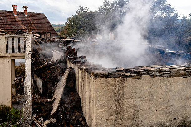 Affordable Fire Damage Removal solutions in Lutz, FL