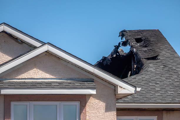 Top rated local Fire Damage Removal specialists in Lutz, FL